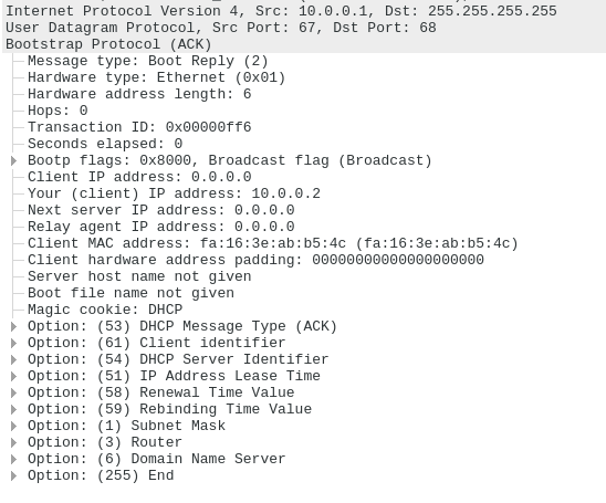 Cisco DHCP ACK.png