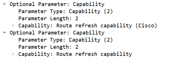 Cisco BGP Route Refresh Capability.PNG