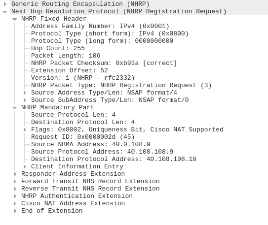 Cisco NHRP Registration Request.png