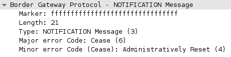 Cisco BGP Notification.PNG