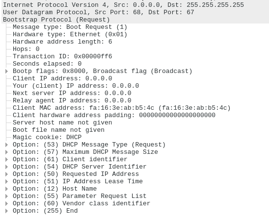 Cisco_DHCP_Request.png