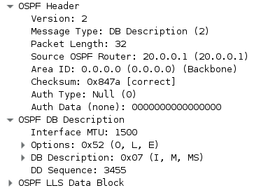 Cisco OSPF DD.PNG